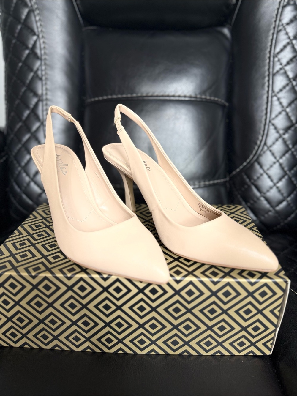 Charles David Blush Nude Slingback Pointed-Toe Pumps